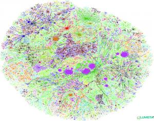 Gráfico del crecimiento de internet