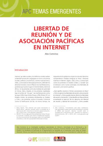 comninos issue paper