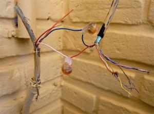 Ily a un manque de contrôle de qualité au Rwanda