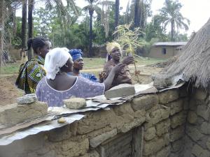 GEM and Fantsuam Foundation