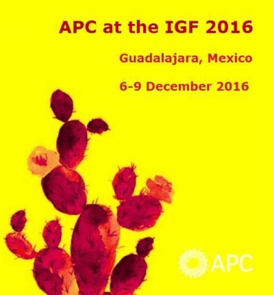  image linking to APC at the 2016 IGF: Event coverage 