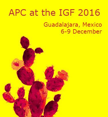  image linking to APC's priorities for the 11th Internet Governance Forum, Guadalajara, 2016 