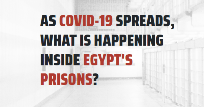  image linking to #IWantALetter: Take action to demand that Egyptian authorities provide information updates on their response to the pandemic in prisons 