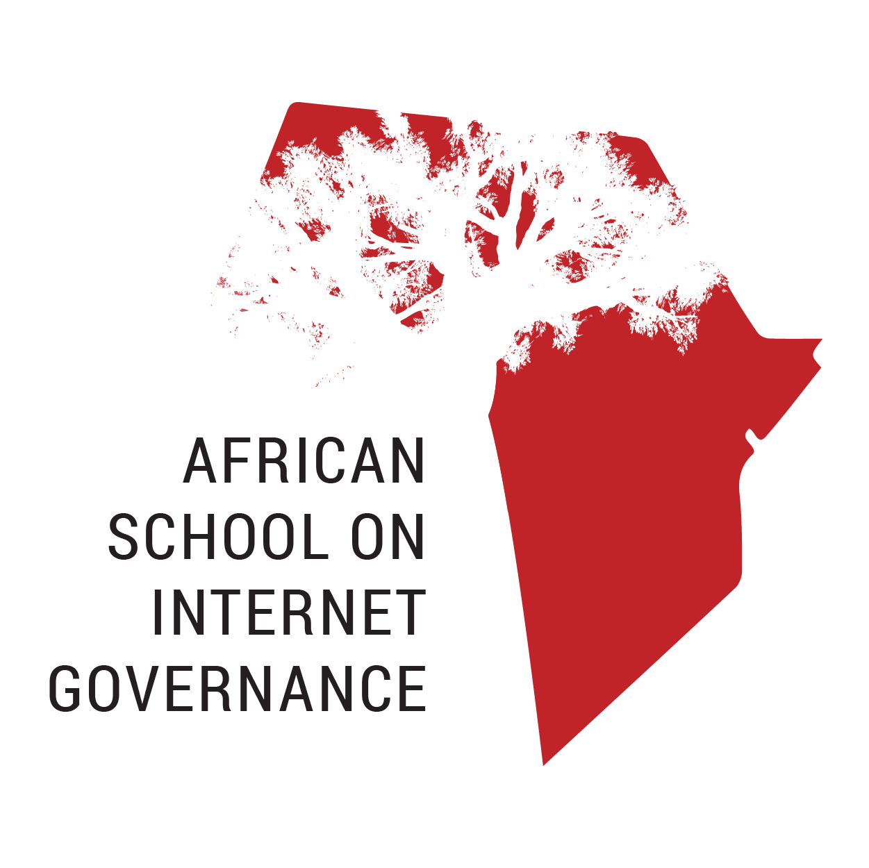 African School on Internet Governance