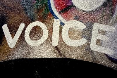  image linking to APC submission: “Freedom of Opinion and Expression and Sustainable Development – Why Voice Matters” 