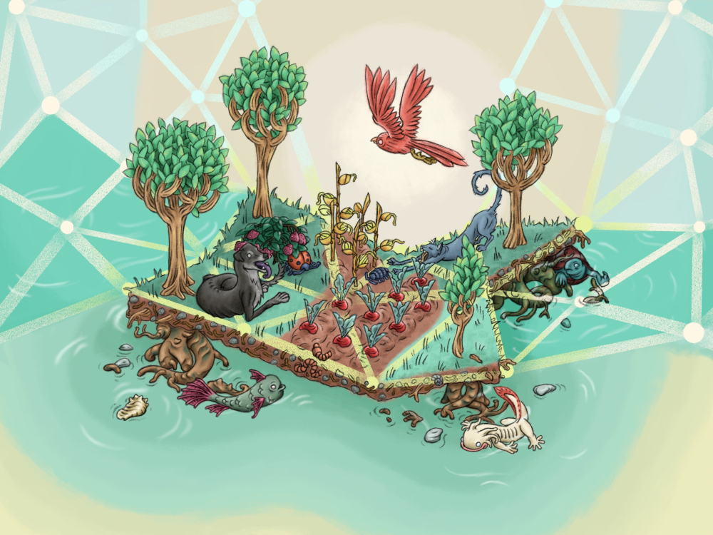 Acciones por la justicia ambiental desde infraestructuras tecnológicas autónomas y comunitarias