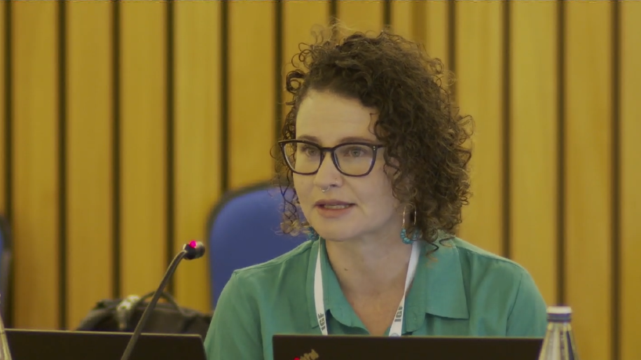 Image: Jamila Venturini of Derechos Digitales presents at the IGF GISWatch launch