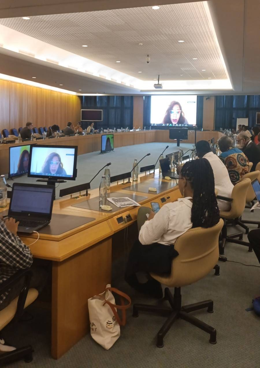 Image: Gayatri Khandhadai of the Business and Human Rights Resource Centre presents at the IGF GISWatch launch