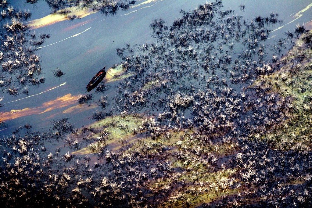 Image of an oil spill in Nigeria