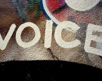 APC submission: “Freedom of Opinion and Expression and Sustainable Development – Why Voice Matters”
