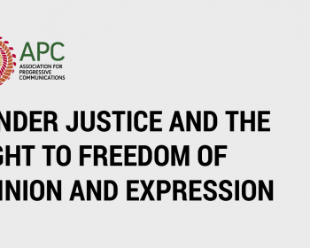 Gender justice and the right to freedom of opinion and expression