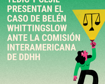 TEDIC y CEJIL presentaron una petición ante la CIDH contra el Estado paraguayo
