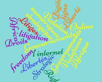 Digital rights strategic litigation: Suing governments when online freedoms are violated