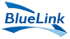 BlueLink Information Network
