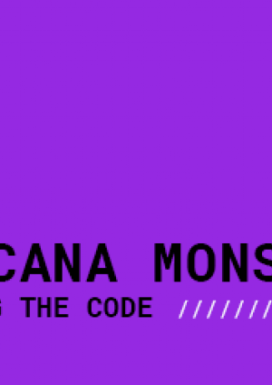 Feminist Tech Exchange: Gincana Monstra - opening the code