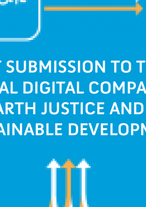 Joint submission to the Global Digital Compact on Earth justice and sustainable development