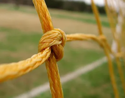 image linking to Women's rights and safety online: Project partners granted to strengthen national work