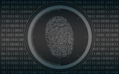Image by Pete Linforth from Pixabay (https://pixabay.com/illustrations/biometrics-fingerprint-security-7119387/) image linking to Malawi dragging its feet on filling legal gaps to prevent human rights violations