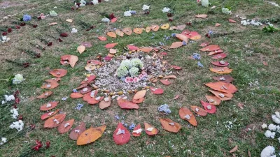  image linking to Turtle power: Insights into community-centred connectivity in Indonesia 